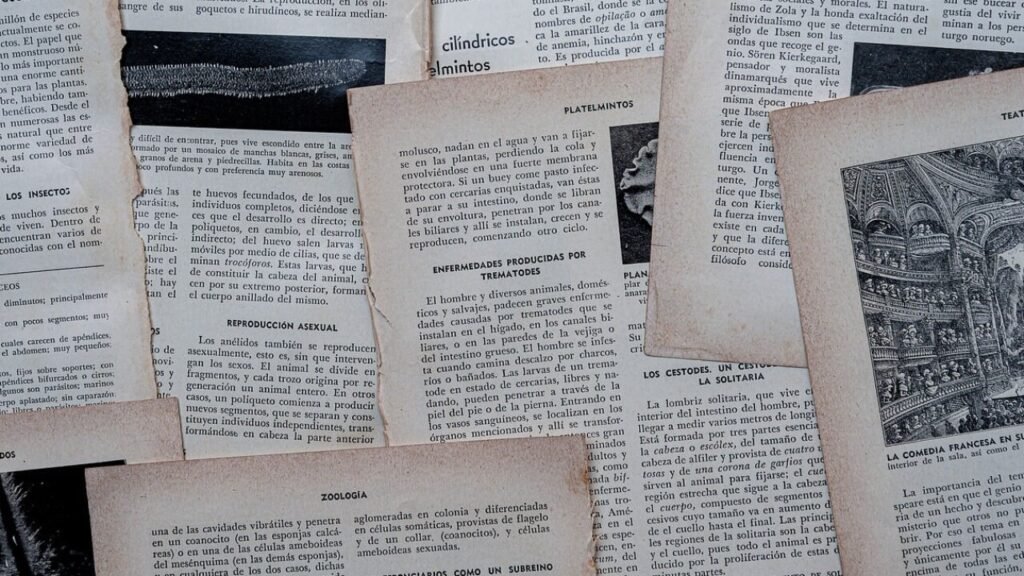 Umowa o praktyki zawodowe – PDF do pobrania bezpłatnie